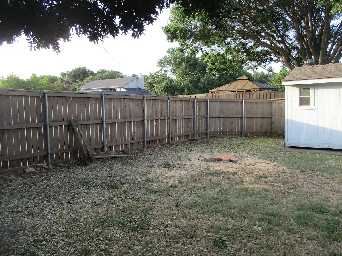 Cleared yard after professional tree removal in South Plains